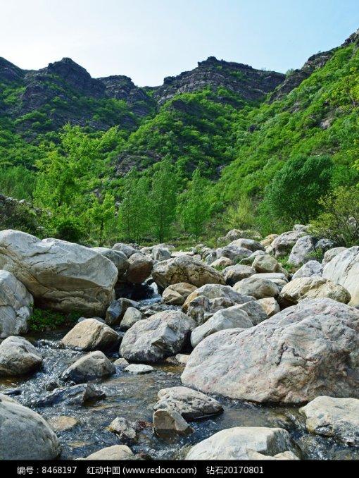 帮人开50万正规税票违法吗游戏画面